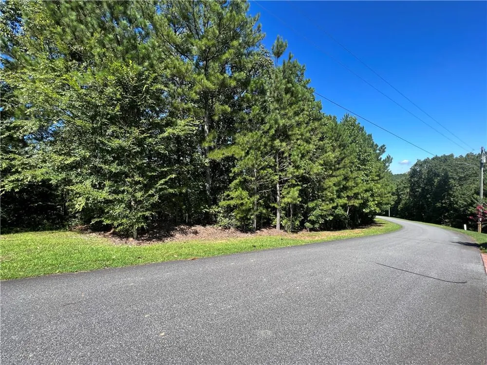 16 Hawks Branch Lane White, GA 30184
