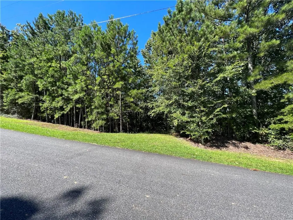 16 Hawks Branch Lane White, GA 30184