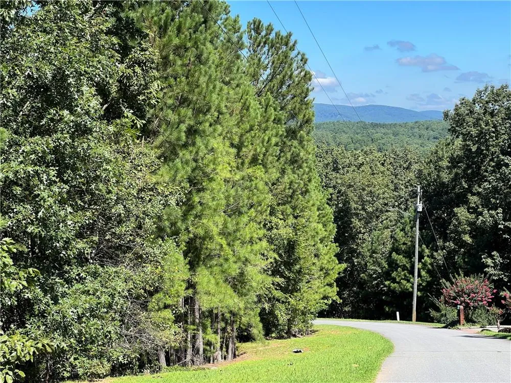 16 Hawks Branch Lane White, GA 30184