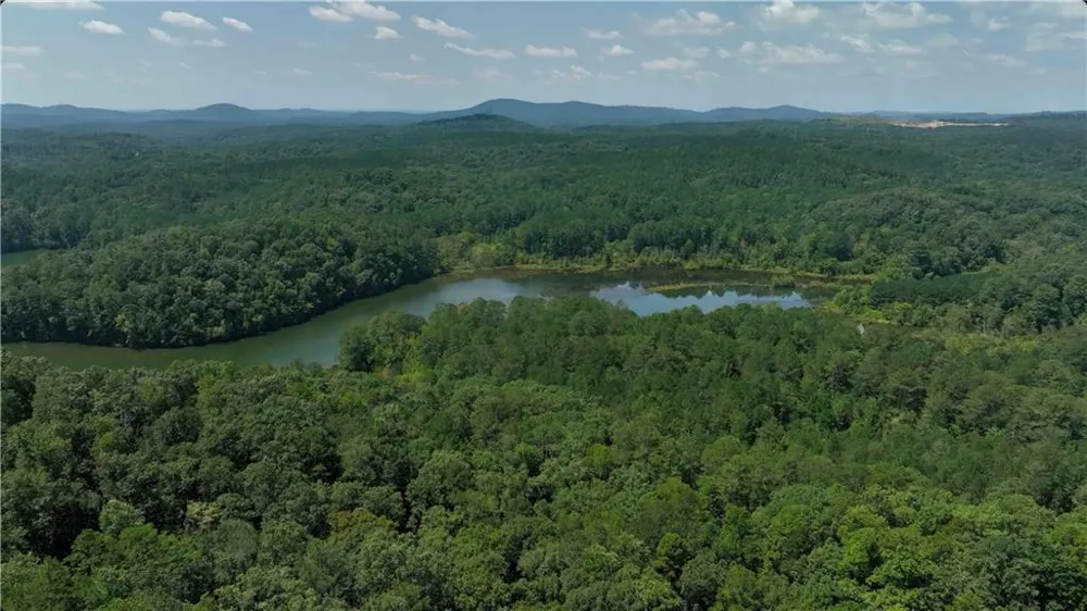 16 Hawks Branch Lane White, GA 30184