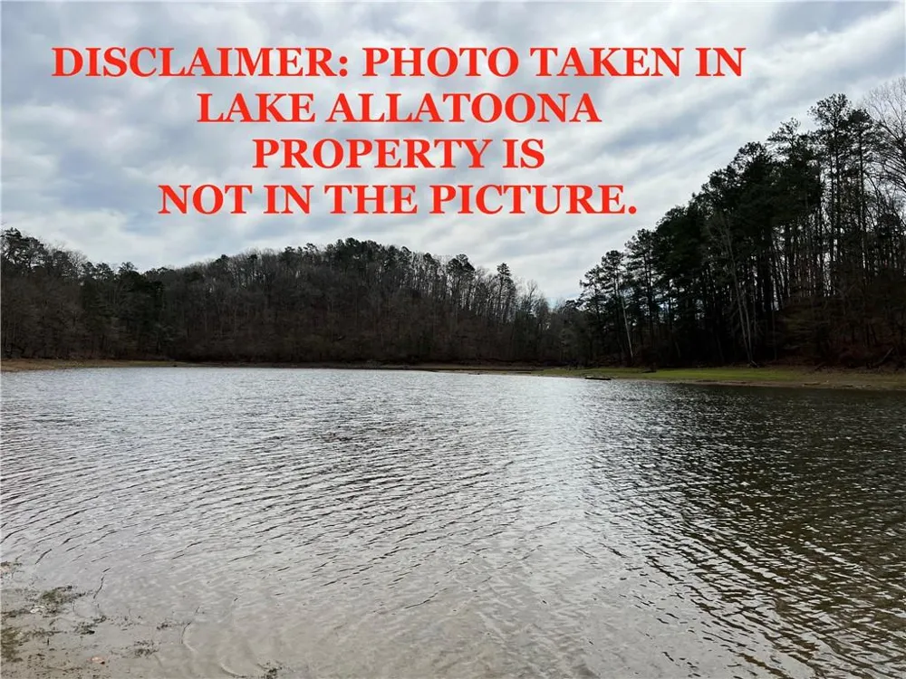 16 Hawks Branch Lane White, GA 30184
