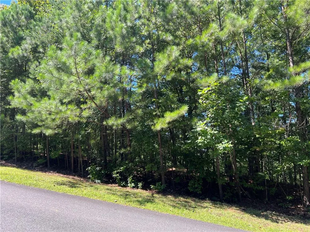 16 Hawks Branch Lane White, GA 30184