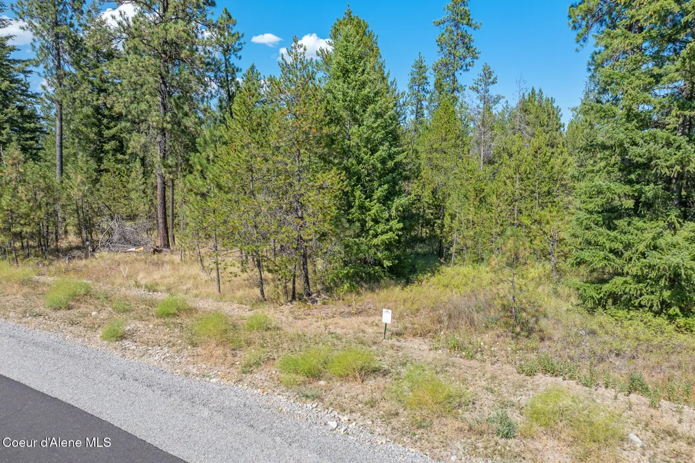 Lot 3 Dawson Loop Athol, ID 83801