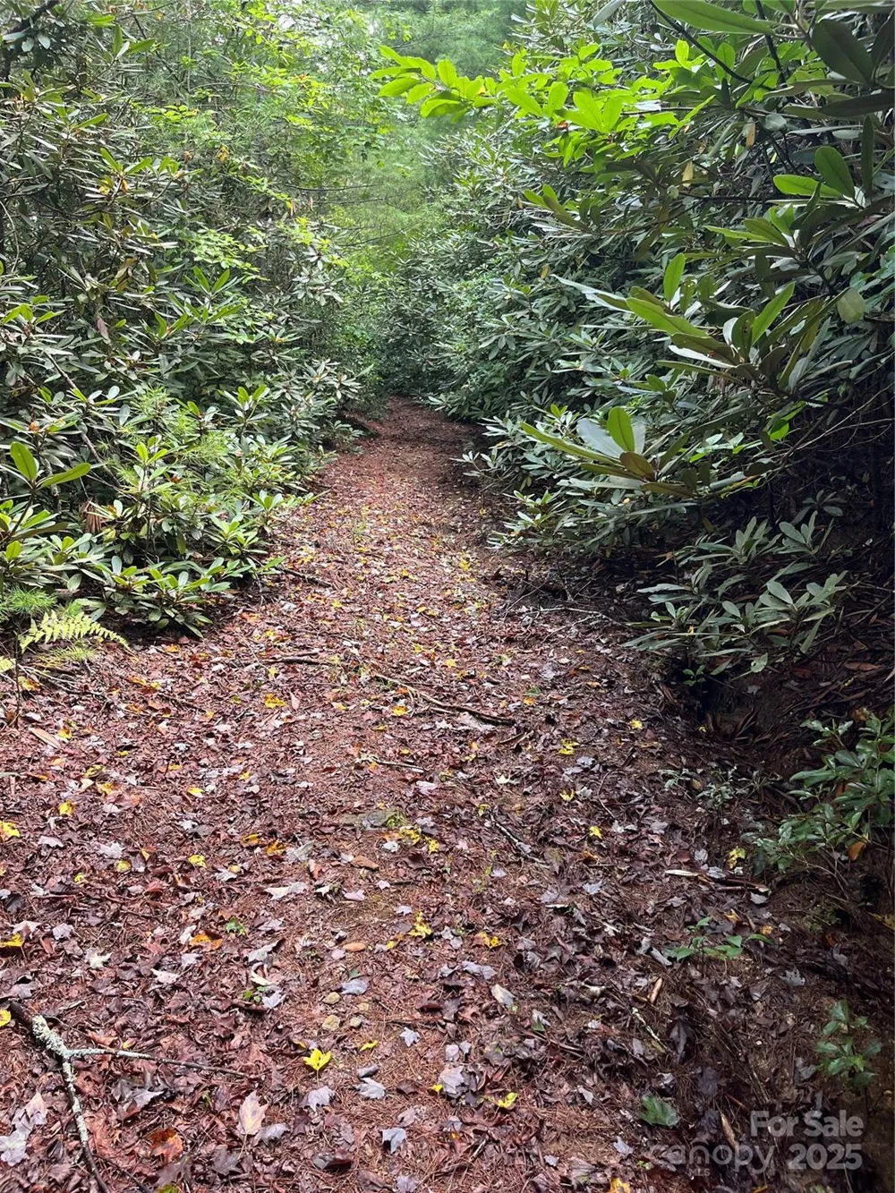 TBD Normcol Road Pisgah Forest, NC 28768
