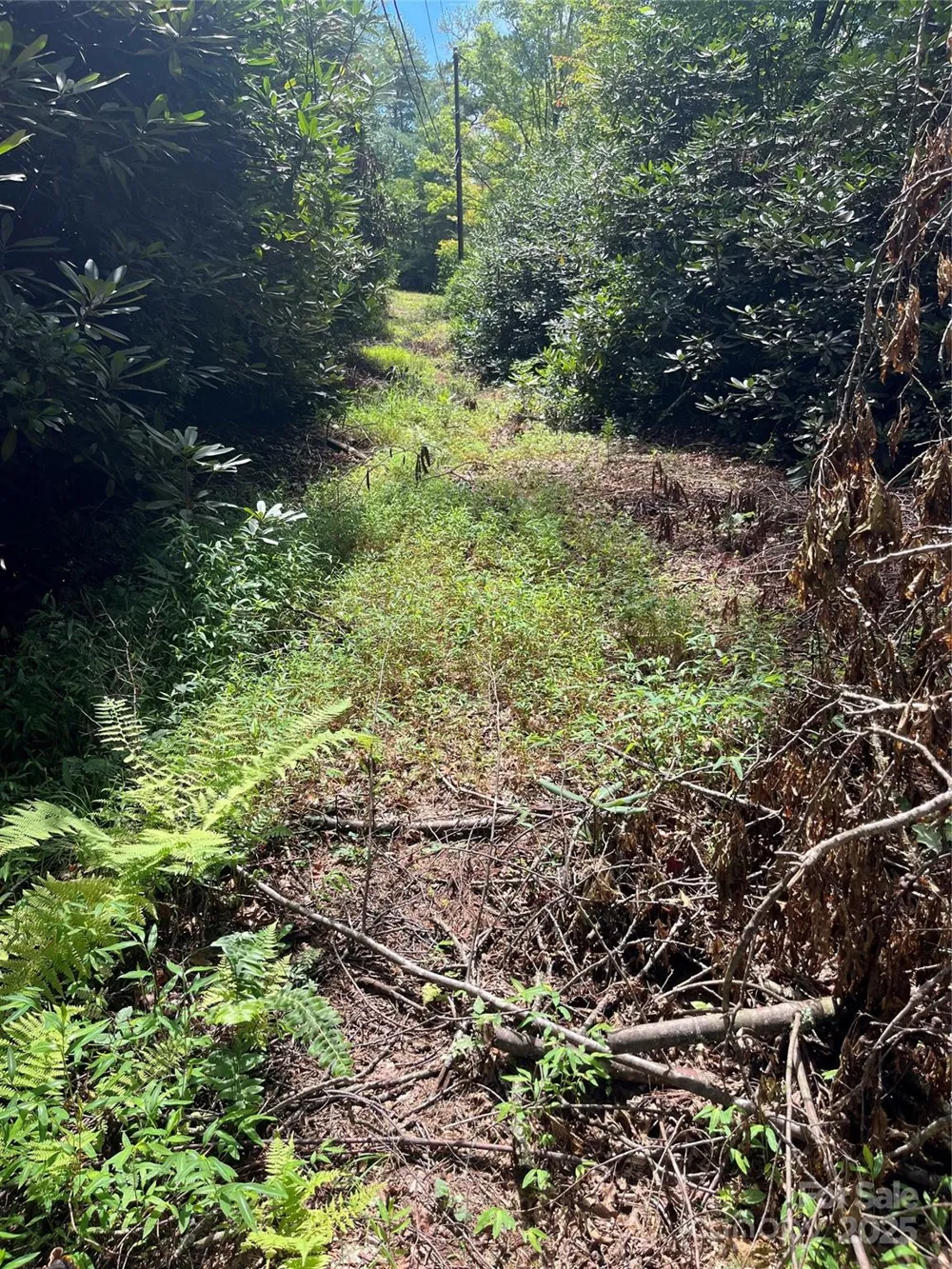 TBD Normcol Road Pisgah Forest, NC 28768