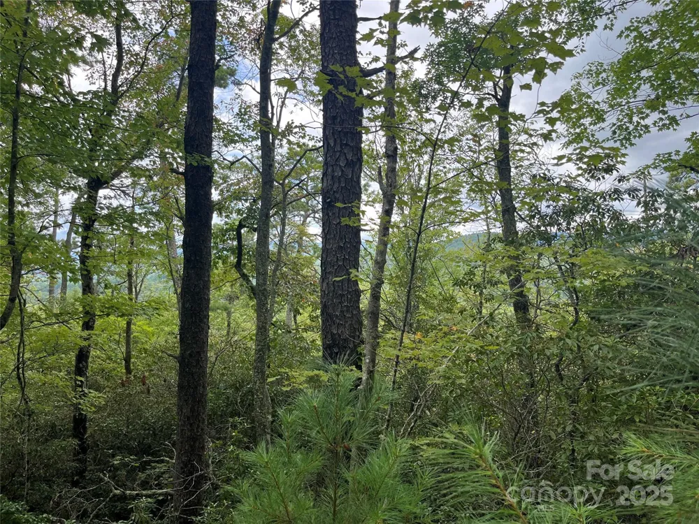 TBD Normcol Road Pisgah Forest, NC 28768