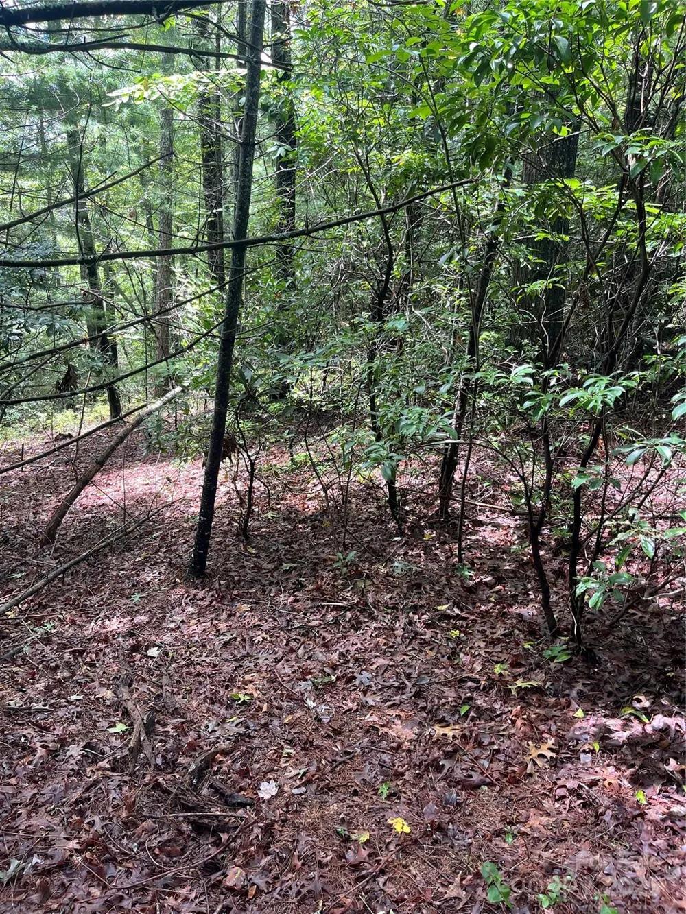 TBD Normcol Road Pisgah Forest, NC 28768