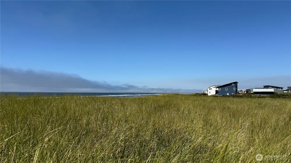 615 Dune Crest Loop Westport, WA 98595