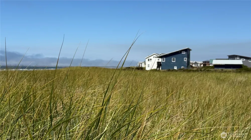 615 Dune Crest Loop Westport, WA 98595