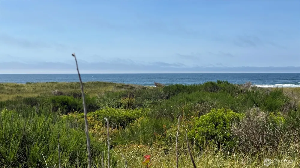 615 Dune Crest Loop Westport, WA 98595