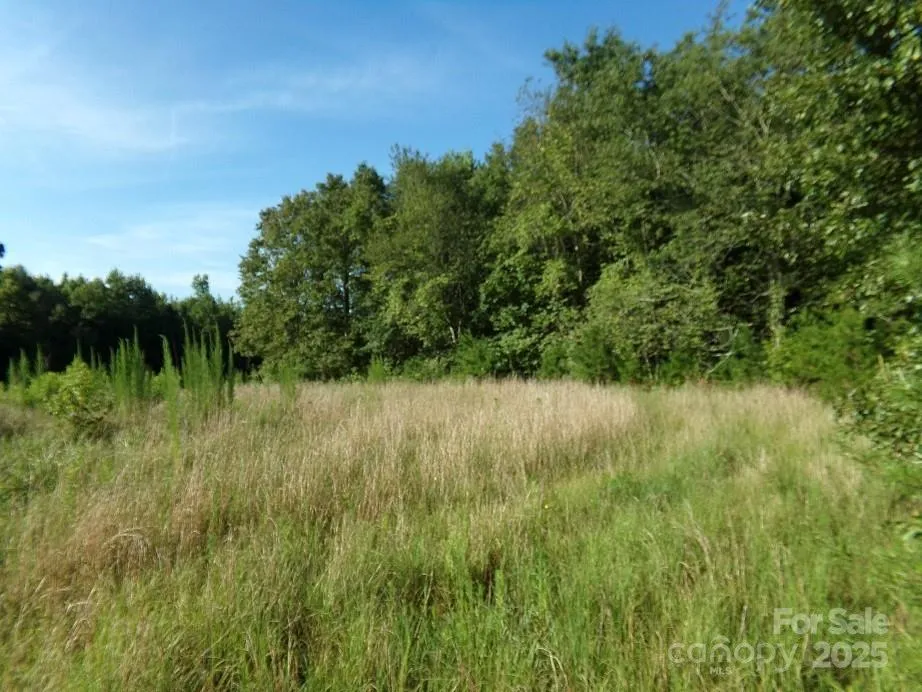 Lot 5 Painter Road Mooresboro, NC 28114