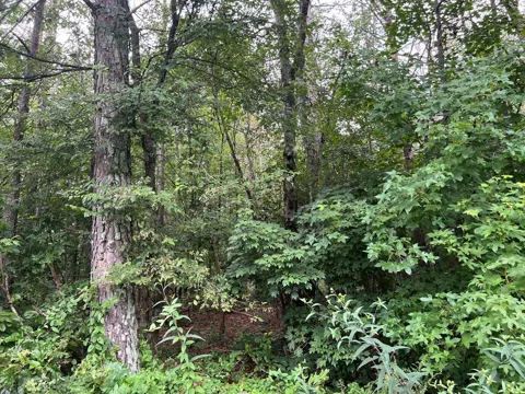 119 NW Kirk Road