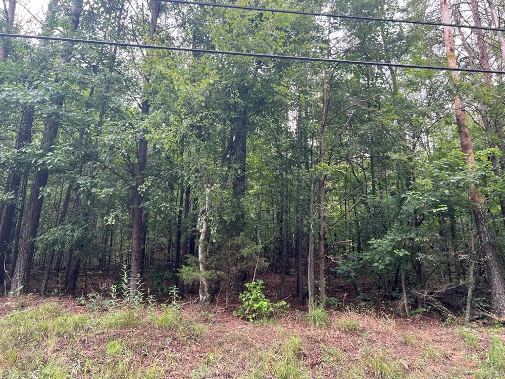 119 NW Kirk Road White, GA 30184