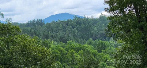 LOT 3 S Cross Creek Trail