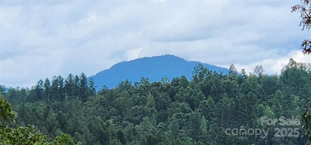 LOT 3 S Cross Creek Trail Mill Spring, NC 28756