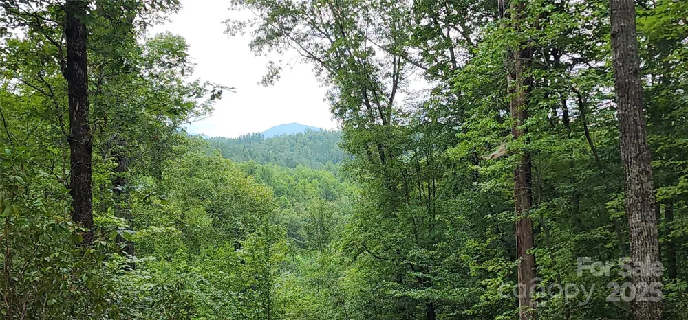 LOT 3 S Cross Creek Trail Mill Spring, NC 28756
