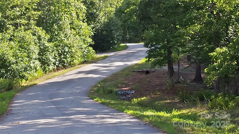 LOT 3 S Cross Creek Trail Mill Spring, NC 28756
