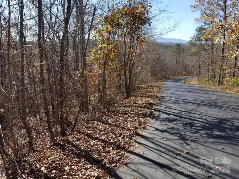 LOT 3 S Cross Creek Trail Mill Spring, NC 28756