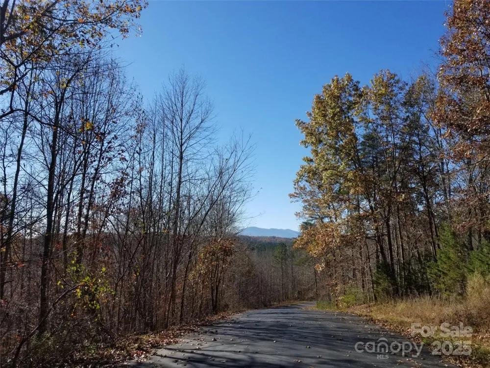LOT 3 S Cross Creek Trail Mill Spring, NC 28756