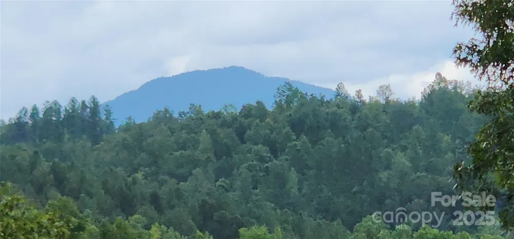 LOT 3 S Cross Creek Trail Mill Spring, NC 28756