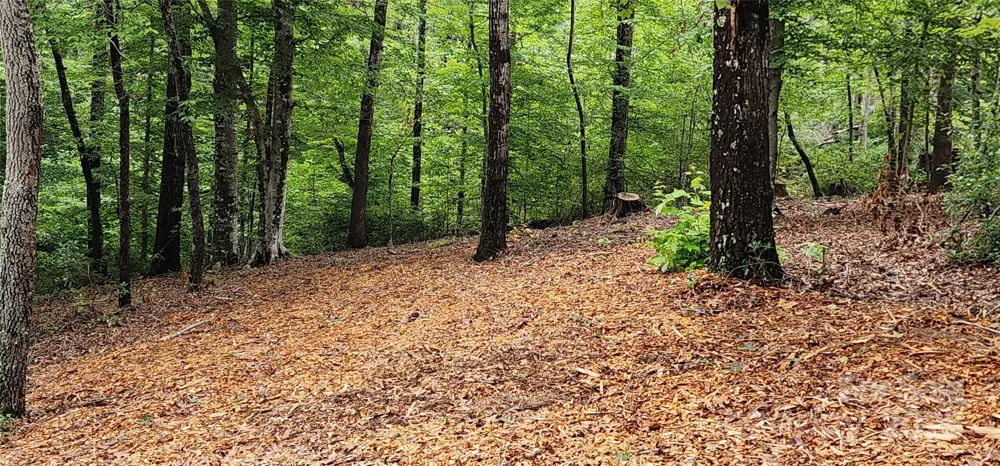 LOT 3 S Cross Creek Trail Mill Spring, NC 28756