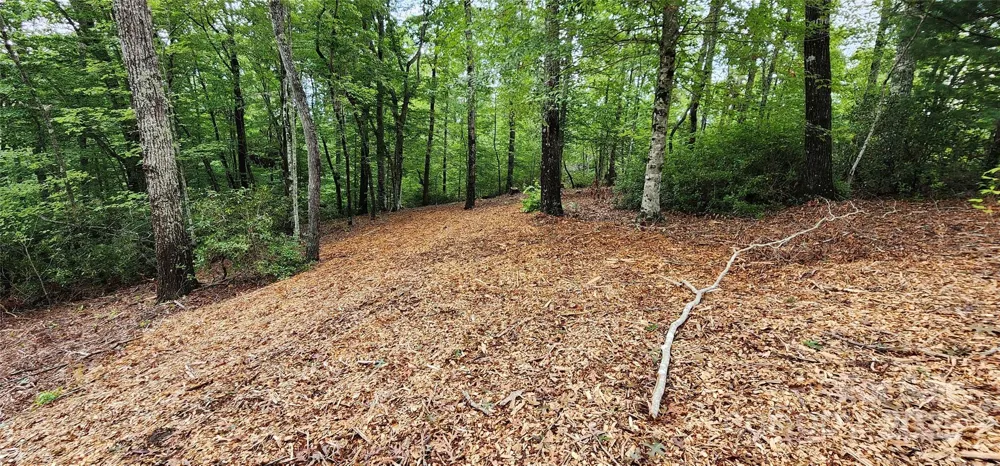 LOT 3 S Cross Creek Trail Mill Spring, NC 28756