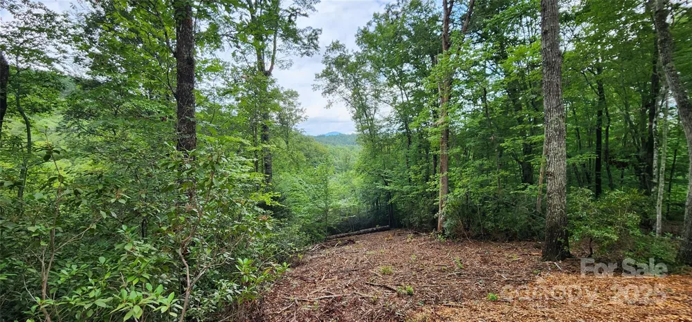 LOT 3 S Cross Creek Trail Mill Spring, NC 28756