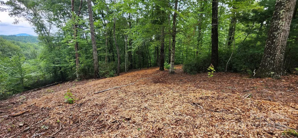 LOT 3 S Cross Creek Trail Mill Spring, NC 28756