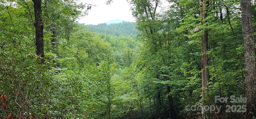 LOT 3 S Cross Creek Trail Mill Spring, NC 28756