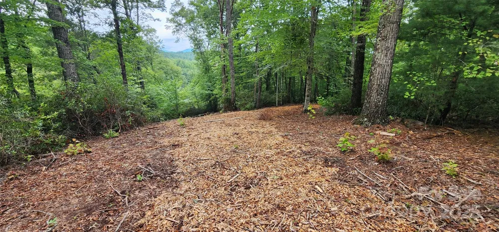LOT 3 S Cross Creek Trail Mill Spring, NC 28756