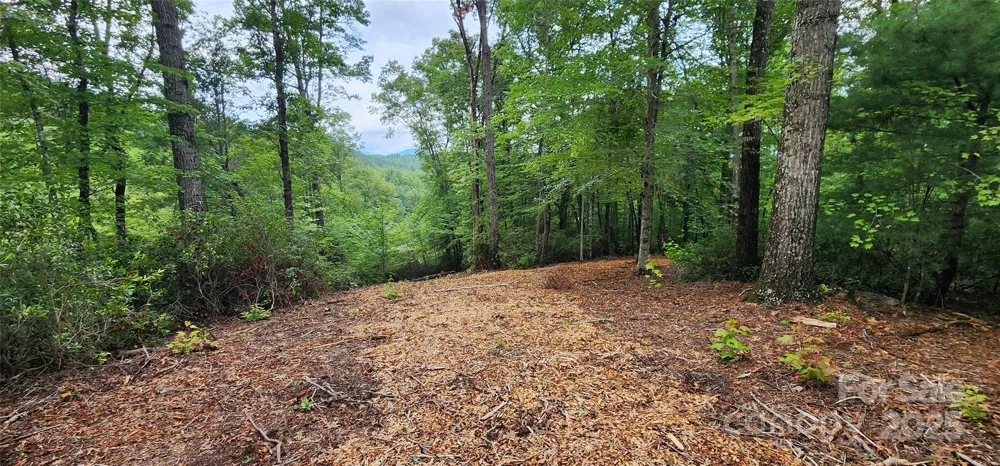 LOT 3 S Cross Creek Trail Mill Spring, NC 28756