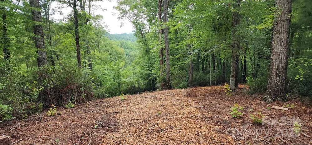 LOT 3 S Cross Creek Trail Mill Spring, NC 28756