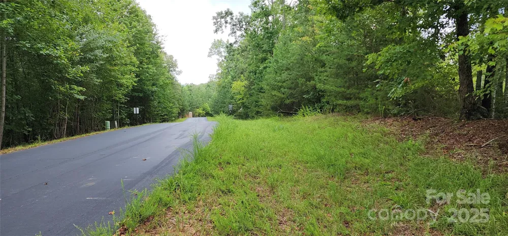 LOT 3 S Cross Creek Trail Mill Spring, NC 28756