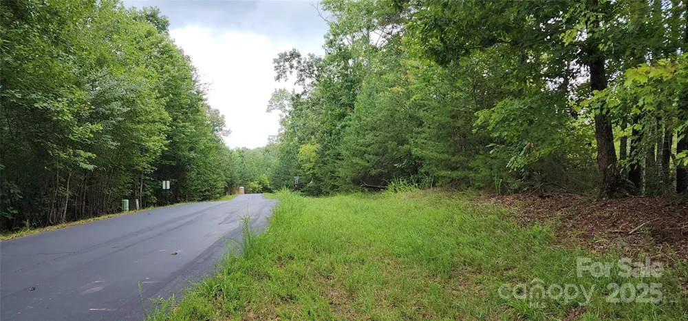 LOT 3 S Cross Creek Trail Mill Spring, NC 28756