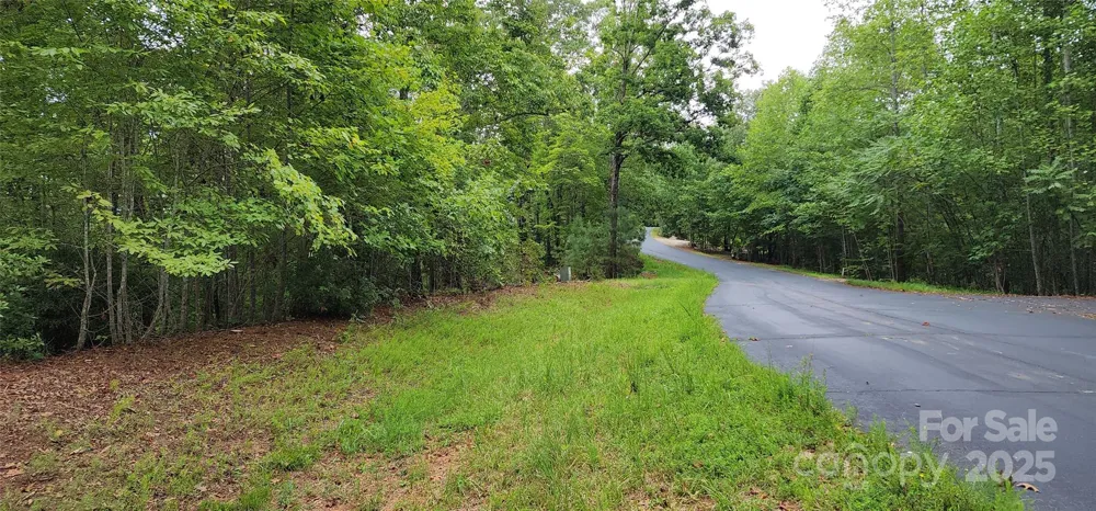 LOT 3 S Cross Creek Trail Mill Spring, NC 28756
