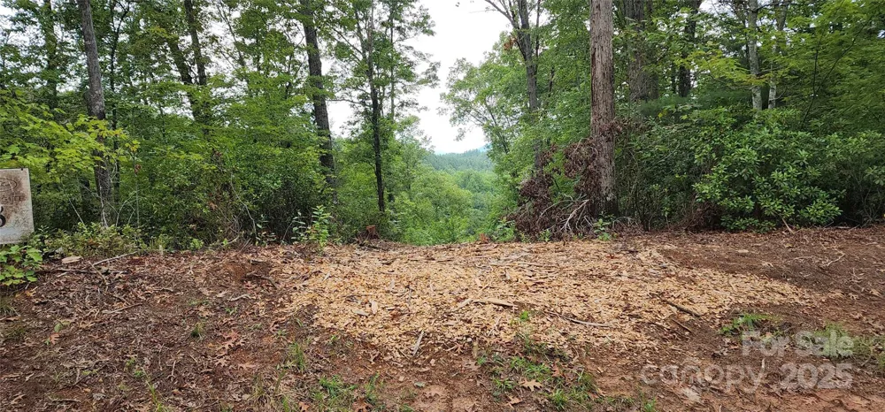 LOT 3 S Cross Creek Trail Mill Spring, NC 28756