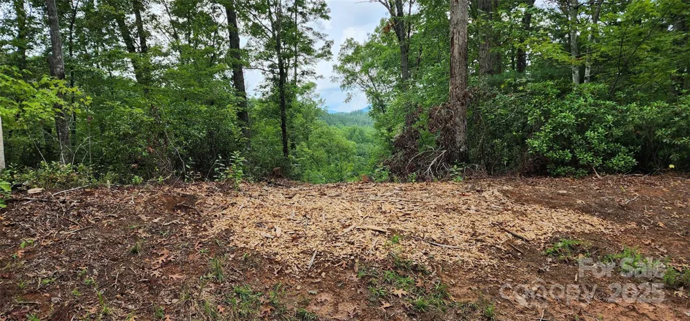LOT 3 S Cross Creek Trail Mill Spring, NC 28756