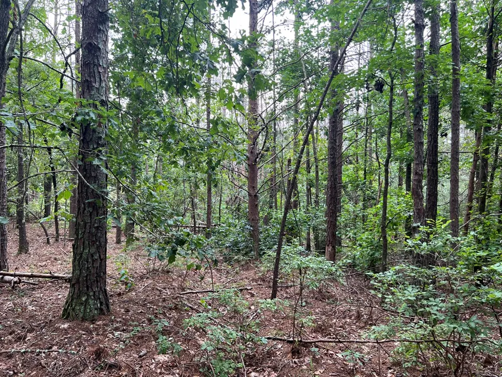 00 NW Timberwood Road White, GA 30184