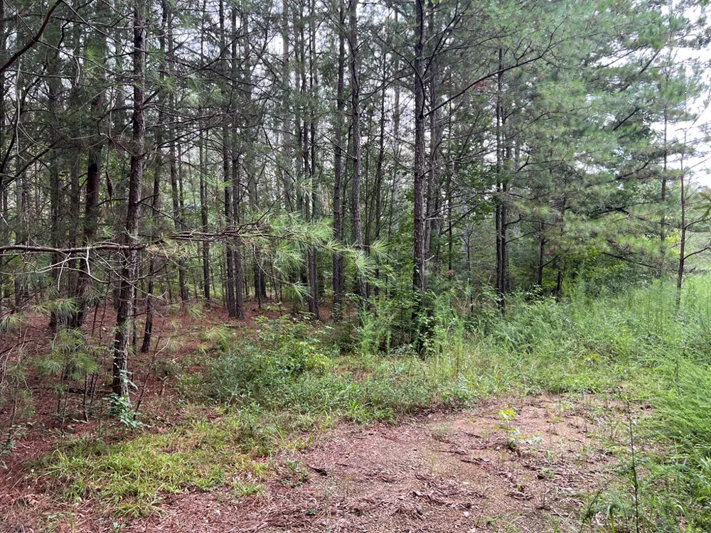 00 NW Timberwood Road White, GA 30184