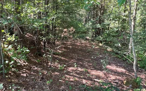 16 Hawks Branch Lane