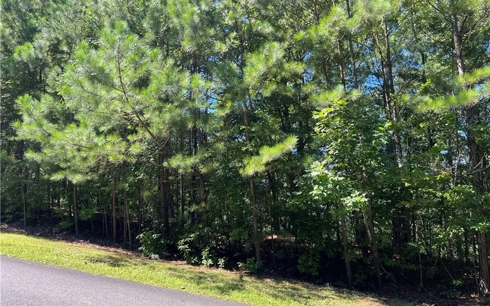 16 Hawks Branch Lane White, GA 30184