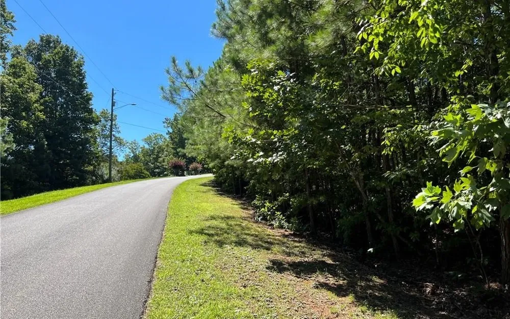 16 Hawks Branch Lane White, GA 30184