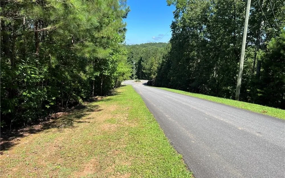 16 Hawks Branch Lane White, GA 30184
