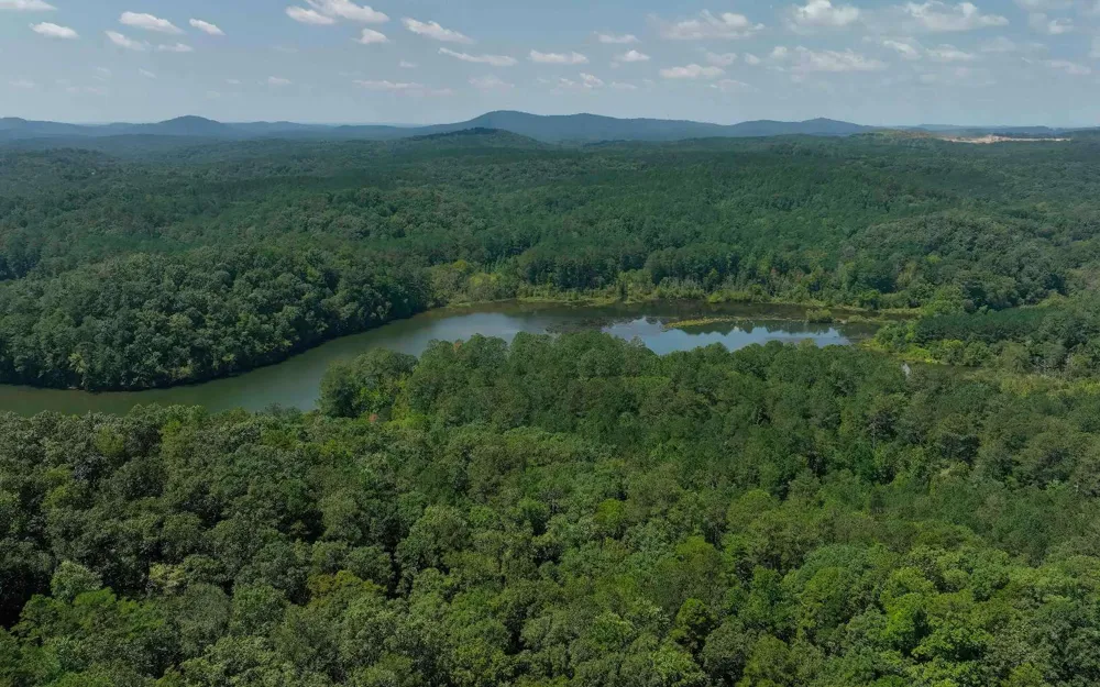 16 Hawks Branch Lane White, GA 30184