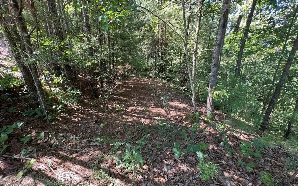 16 Hawks Branch Lane White, GA 30184