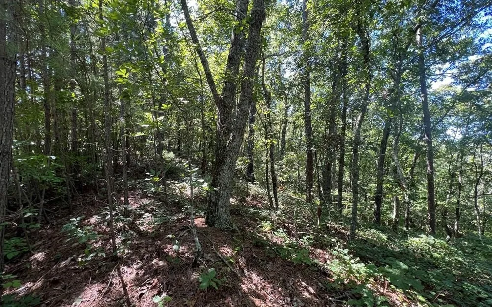16 Hawks Branch Lane White, GA 30184