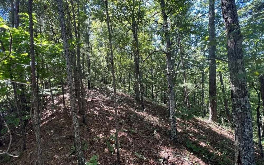16 Hawks Branch Lane White, GA 30184