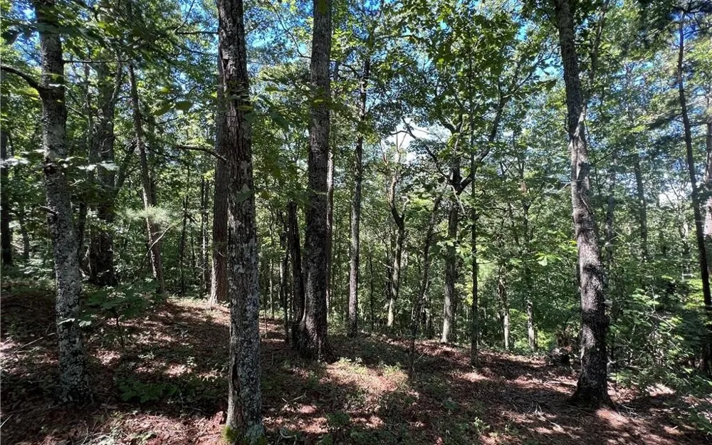 16 Hawks Branch Lane White, GA 30184