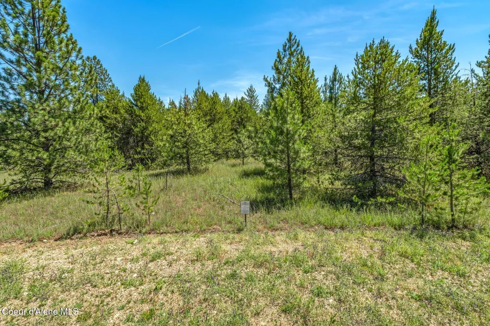 Lot 9 Dawson Lp Athol, ID 83801