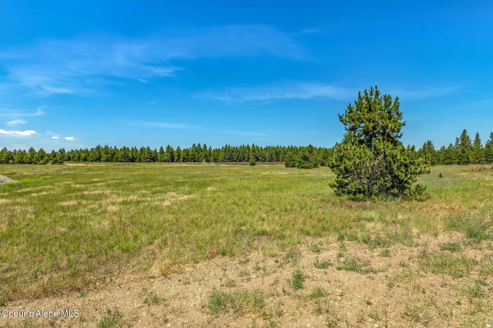 Lot 12 Asulkan St Athol, ID 83801